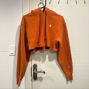 champion cropped hoodie